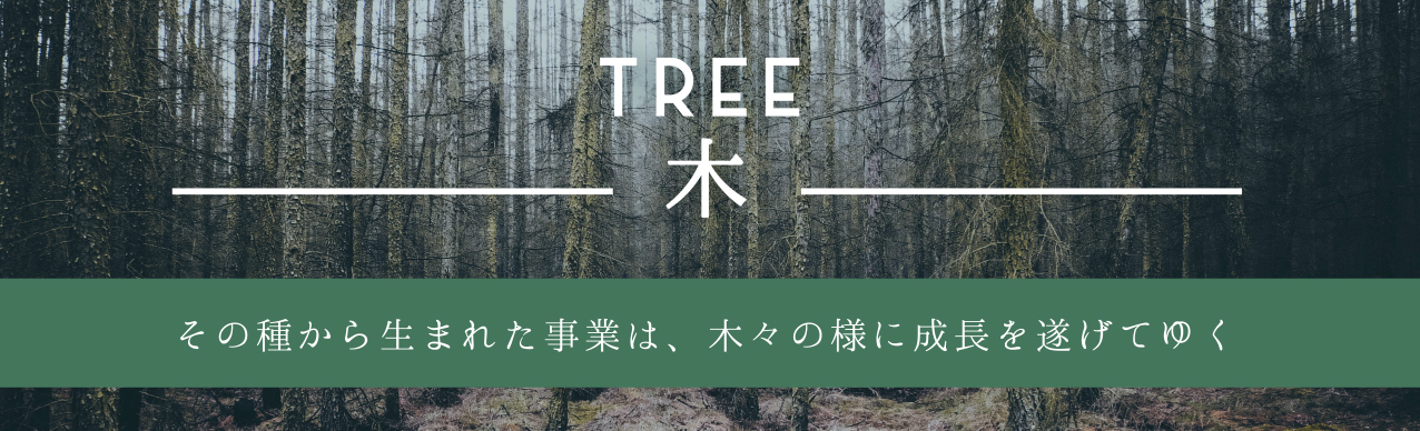 TREE 木